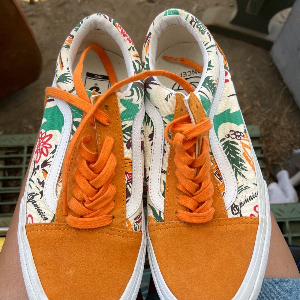 Men’s vans
